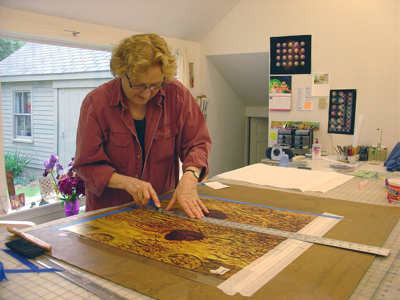 
        Incorporating microscopic cell images, particularly those used by the NMSL, was the key to the work.        