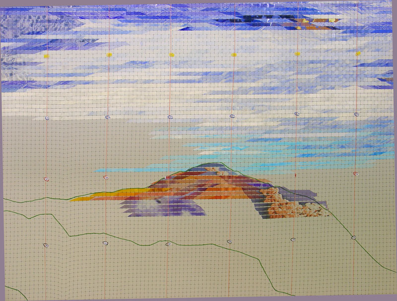 
        Using plastic netting as my substrate, I wove the painted the acetate material that I had cut into strips along with the cell images.        